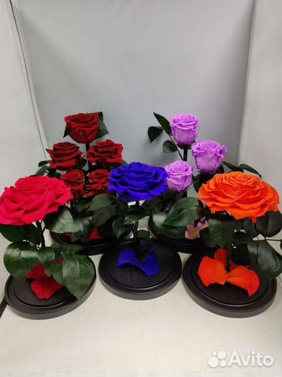 Роза в колбе оптом и в розницу