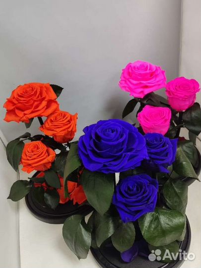 Роза в колбе