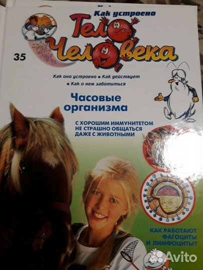 Книги для детей младшего и дошкольного возраста 