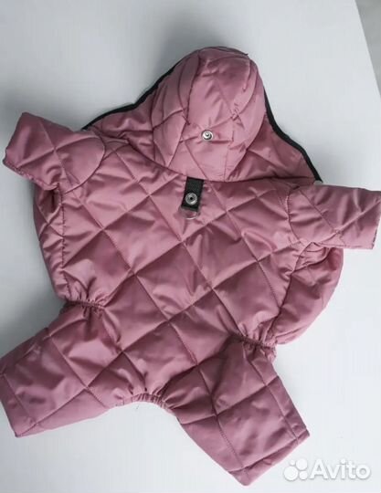 Комбинезон для собаки