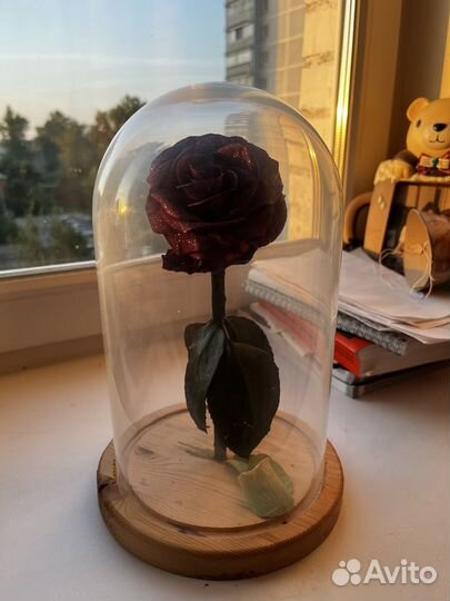 Роза в колбе