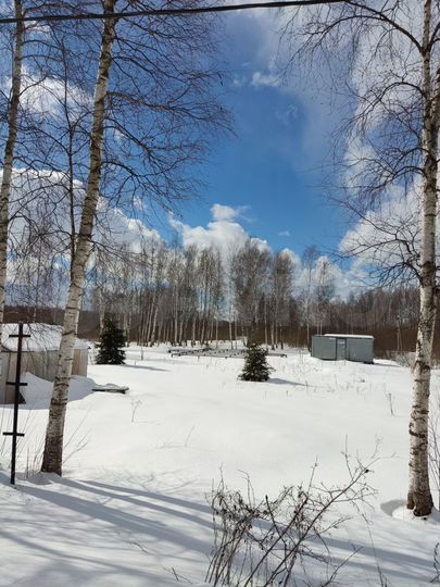 Участок 8 сот. (СНТ, ДНП)