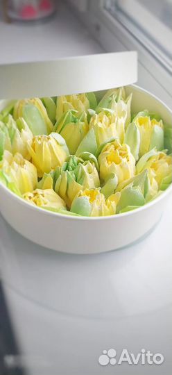 Тюльпаны из зефира в натуральную величину