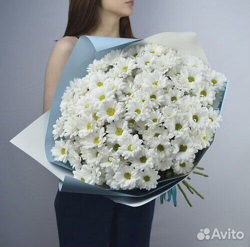 Букет из Хризантем. Доставка