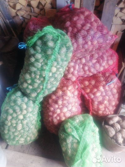 Картофель свежий урожай