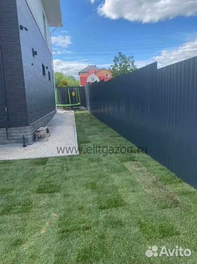 Рулонный газон, укладка, продажа