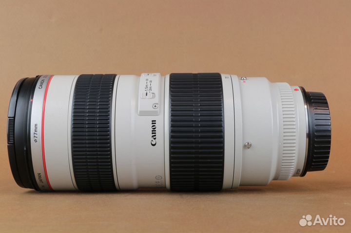 Canon EF 70-200mm f/2.8L USM (id 31720)
