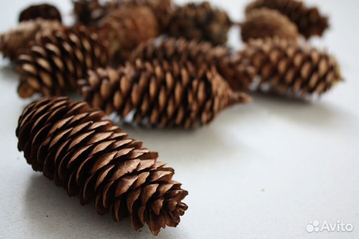 Шишки еловые Шишки для поделок для мульчирования