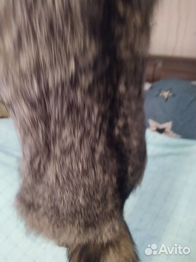 Шкурка чернобурка