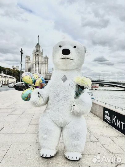 Поздравление от белого мишки