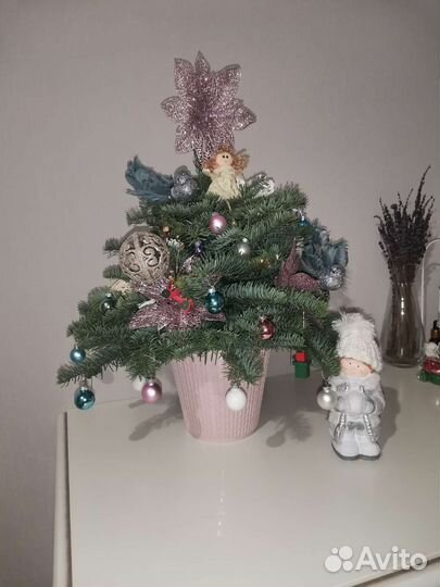 Ель. Новогодняя ёлка. Нобилис