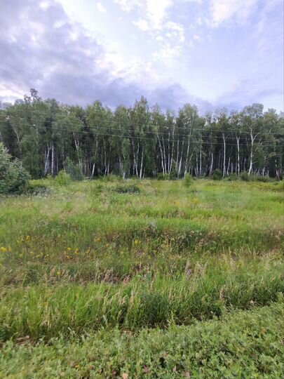 Участок 8,5 сот. (ИЖС)