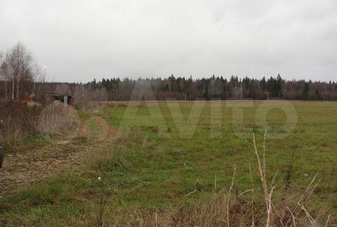 Участок 4,1 га (ИЖС)