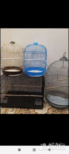 Большие новые Клетки