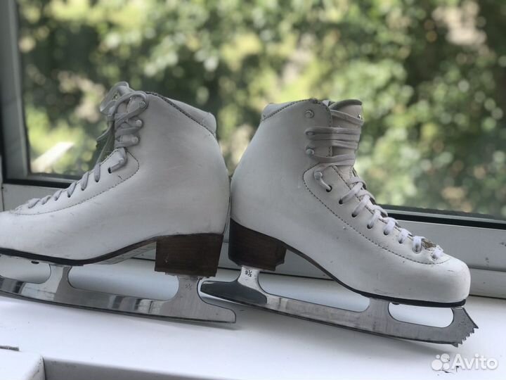 Коньки фигурные Risport RF3 pro 255