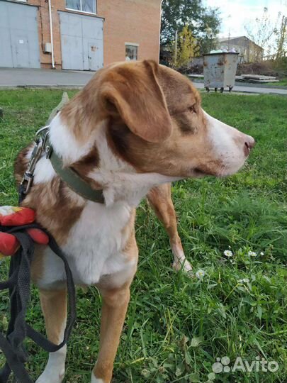 Мальчик из приюта