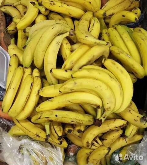 Корма животным (некондиция)