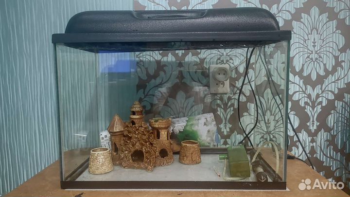 Аквариум 60 литров
