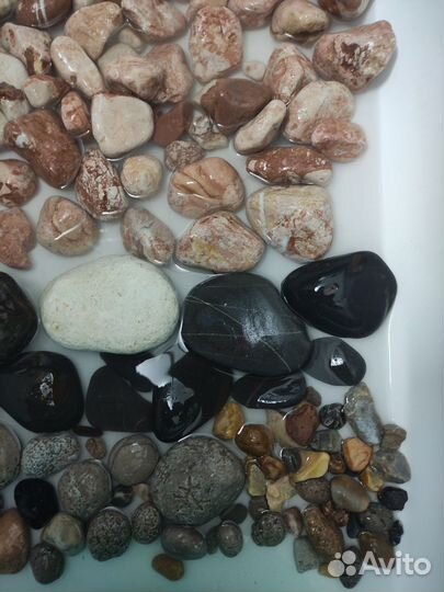 Галька морская камни мрамор песчаник розовый сланц