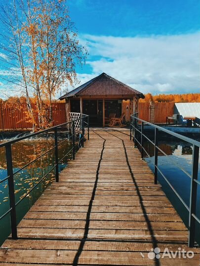 18авг24 Гастротур: 