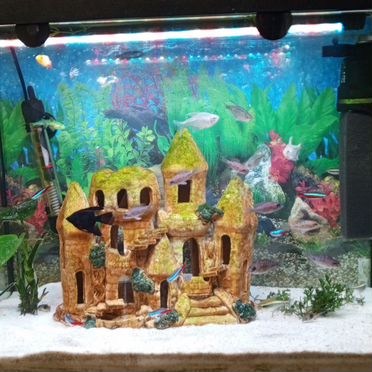 Аквариум с рыбками и оборудованием
