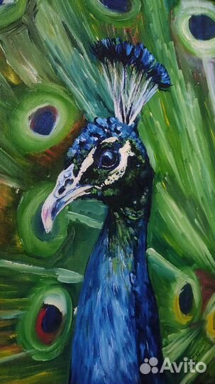 Павлин картина маслом
