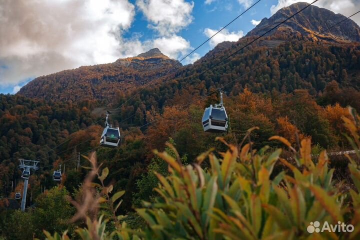 Экскурсия на Роза хутор/Красная поляна