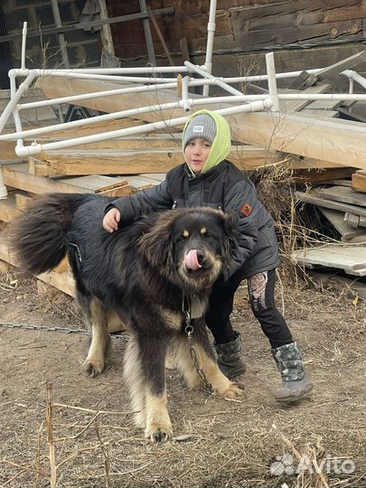 Хотошо вязка