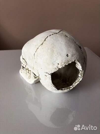 Украшения для аквариума череп