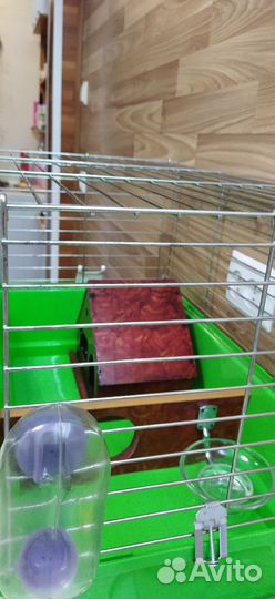 Клетка для грызунов бу