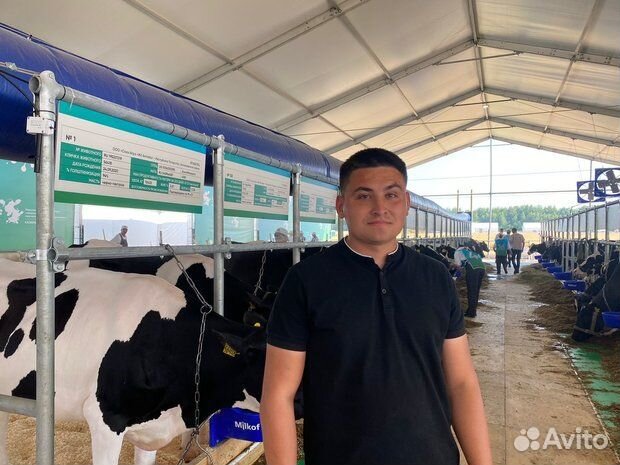 Приёмщик скота работа в Пензе сменный график