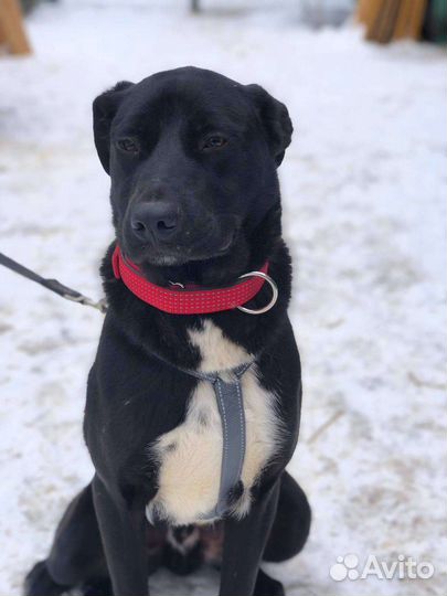 Ласковый ребёнок из приюта ищет семью