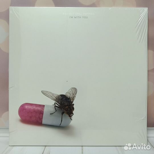 Red Hot Chili Peppers - I'm with you