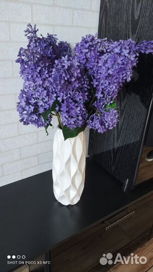 Озеленение интерьера, фитостены фитопанно деревья