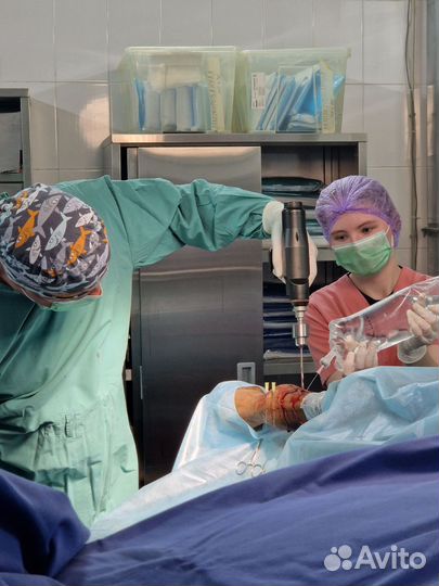 Ветеринар на дом