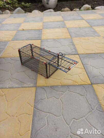 Клетка ловушка для крыс