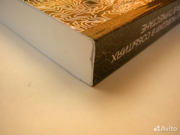 Иностранные разведки в Туркестане. Редкая книга