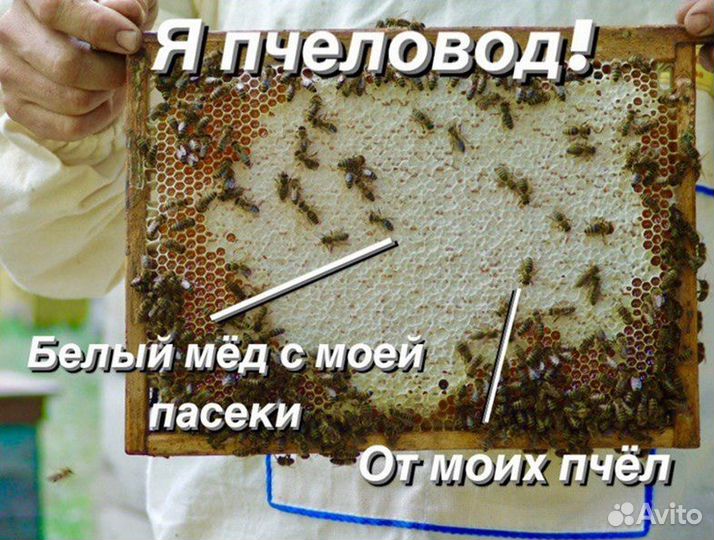 Аккураевый мед