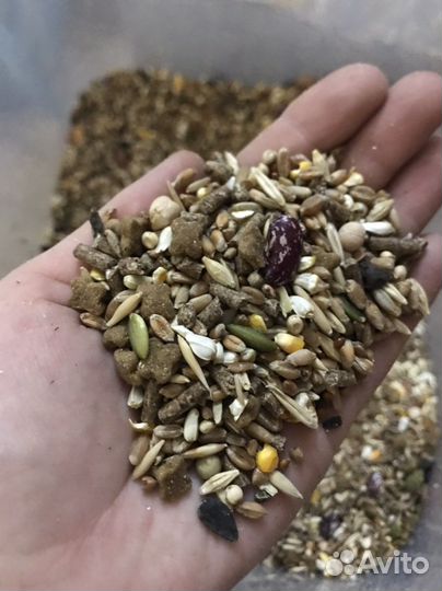 Корм для грызунов