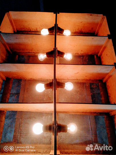 Брудер и клетки для цыплят.по- (штучно)