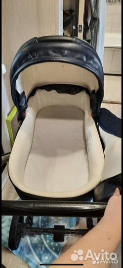 Коляска Anex cross 2 в 1