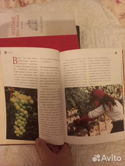 Книга Вина Чили