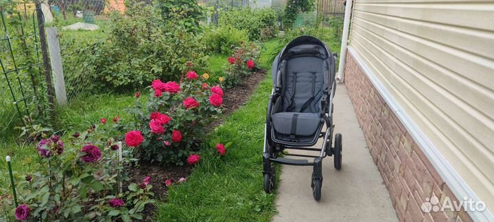 Коляска Husky 3 в 1