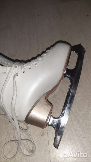 Edea 195 размер