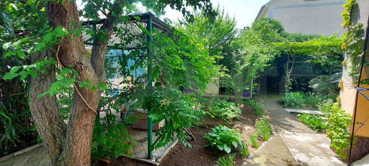 Комната 20 м² в 9-к., 1/2 эт.