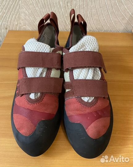 Скальные туфли