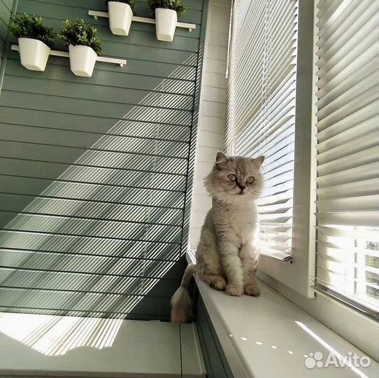 Пластиковые окна от производителя