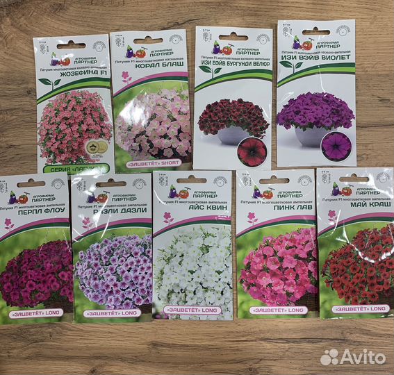 Петуния ампельная
