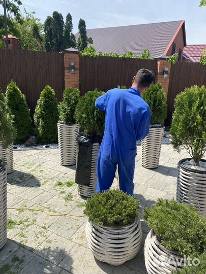 Газон автополив