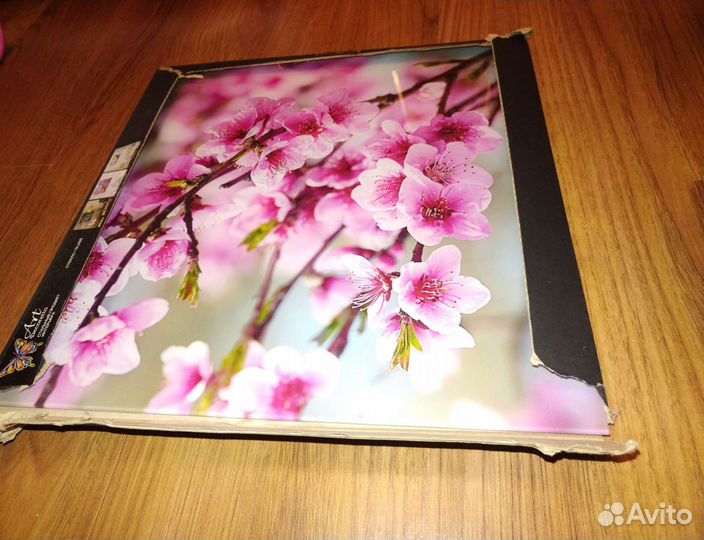 Картина стекло 40*40